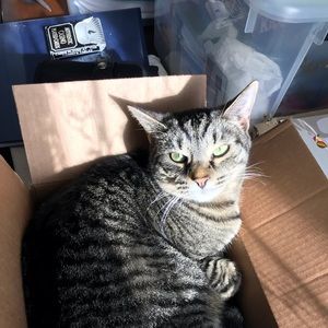 Meet your Posher, Gwen